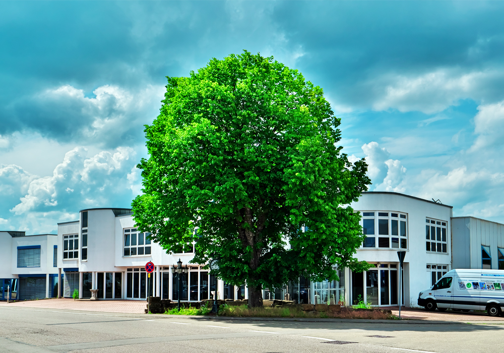 gebaeude-ecke1